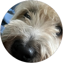 CLAUDIA SILVA profile picture