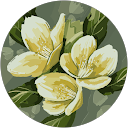 Bushra Khan profile picture